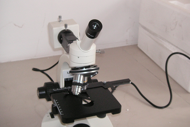 Metallurgical microscope